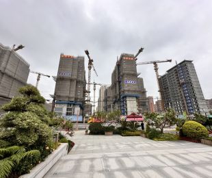 样板图