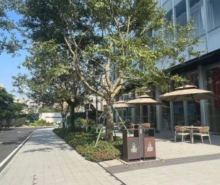 样板图