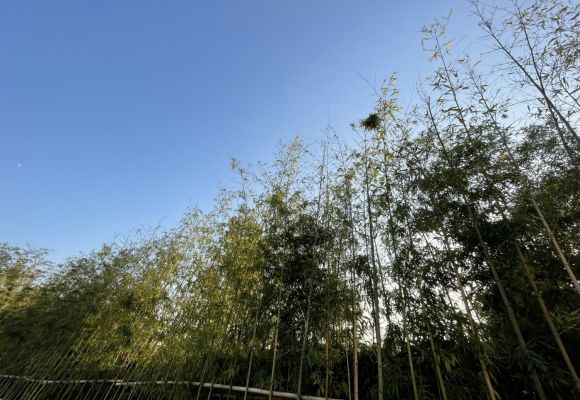 中化润达丰滨江樾城